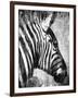 African Animals II - Grey-Eric Yang-Framed Art Print