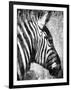 African Animals II - Grey-Eric Yang-Framed Art Print