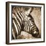 African Animals II - Sepia-Eric Yang-Framed Art Print