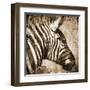 African Animals II - Sepia-Eric Yang-Framed Art Print