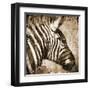 African Animals II - Sepia-Eric Yang-Framed Art Print