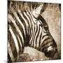 African Animals II - Sepia-Eric Yang-Mounted Art Print