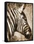 African Animals II - Sepia-Eric Yang-Framed Stretched Canvas