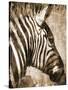 African Animals II - Sepia-Eric Yang-Stretched Canvas