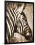 African Animals II - Sepia-Eric Yang-Framed Art Print