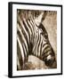 African Animals II - Sepia-Eric Yang-Framed Art Print