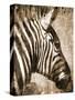 African Animals II - Sepia-Eric Yang-Stretched Canvas