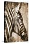 African Animals II - Sepia-Eric Yang-Stretched Canvas