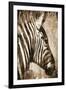 African Animals II - Sepia-Eric Yang-Framed Art Print