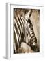 African Animals II - Sepia-Eric Yang-Framed Art Print