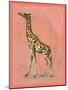 African Animals on Coral II-Studio W-Mounted Art Print