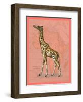 African Animals on Coral II-Studio W-Framed Art Print