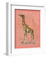 African Animals on Coral II-Studio W-Framed Art Print