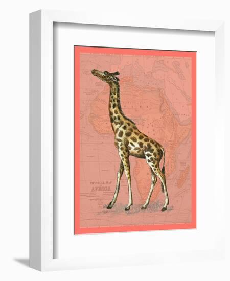 African Animals on Coral II-Studio W-Framed Art Print