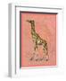 African Animals on Coral II-Studio W-Framed Art Print