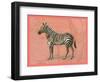 African Animals on Coral IV-Studio W-Framed Art Print