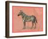 African Animals on Coral IV-Studio W-Framed Art Print