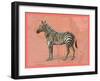 African Animals on Coral IV-Studio W-Framed Art Print