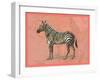 African Animals on Coral IV-Studio W-Framed Art Print