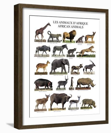 African Animals-null-Framed Art Print