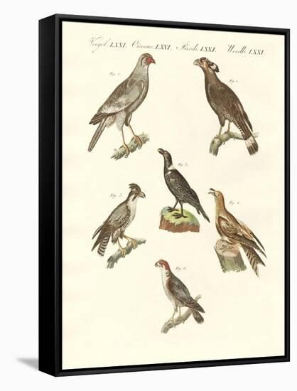 African Birds-null-Framed Stretched Canvas