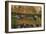 African Black Ducks (Anas Sparsa) in a Lake, Ngorongoro Crater, Ngorongoro Conservation Area-null-Framed Photographic Print