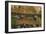 African Black Ducks (Anas Sparsa) in a Lake, Ngorongoro Crater, Ngorongoro Conservation Area-null-Framed Photographic Print