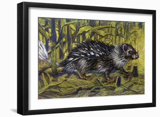 African Brush-Tailed Porcupine (Atherurus Africanus), Hystricidae-null-Framed Giclee Print