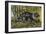 African Brush-Tailed Porcupine (Atherurus Africanus), Hystricidae-null-Framed Giclee Print