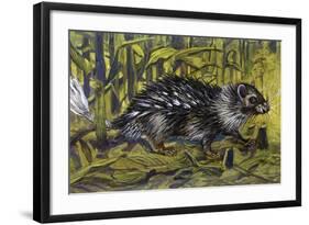 African Brush-Tailed Porcupine (Atherurus Africanus), Hystricidae-null-Framed Giclee Print