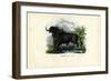 African Buffalo, 1863-79-Raimundo Petraroja-Framed Giclee Print