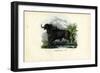 African Buffalo, 1863-79-Raimundo Petraroja-Framed Giclee Print