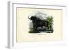 African Buffalo, 1863-79-Raimundo Petraroja-Framed Giclee Print