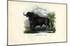 African Buffalo, 1863-79-Raimundo Petraroja-Mounted Giclee Print