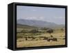 African Buffalo, Masai Mara National Reserve, Kenya, East Africa, Africa-Angelo Cavalli-Framed Stretched Canvas