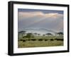 African Buffalo, Serengeti National Park, Tanzania-Ivan Vdovin-Framed Photographic Print