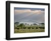 African Buffalo, Serengeti National Park, Tanzania-Ivan Vdovin-Framed Photographic Print