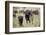 African Buffalo (Syncerus Caffer), Masai Mara National Reserve, Kenya, East Africa, Africa-Angelo Cavalli-Framed Photographic Print