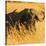 African Buffalo-Joe McDonald-Stretched Canvas