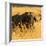 African Buffalo-Joe McDonald-Framed Photographic Print