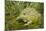 African Bullfrog (Pyxicephalus Adspersus)-Lynn M^ Stone-Mounted Photographic Print