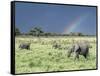 African Bush Elephant Family During Severe Storm, Maasai Mara , Kenya-Martin Zwick-Framed Stretched Canvas