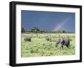 African Bush Elephant Family During Severe Storm, Maasai Mara , Kenya-Martin Zwick-Framed Premium Photographic Print