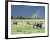 African Bush Elephant Family During Severe Storm, Maasai Mara , Kenya-Martin Zwick-Framed Photographic Print