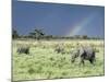 African Bush Elephant Family During Severe Storm, Maasai Mara , Kenya-Martin Zwick-Mounted Photographic Print