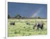 African Bush Elephant Family During Severe Storm, Maasai Mara , Kenya-Martin Zwick-Framed Photographic Print