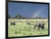 African Bush Elephant Family During Severe Storm, Maasai Mara , Kenya-Martin Zwick-Framed Photographic Print