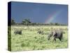 African Bush Elephant Family During Severe Storm, Maasai Mara , Kenya-Martin Zwick-Stretched Canvas