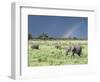 African Bush Elephant Family During Severe Storm, Maasai Mara , Kenya-Martin Zwick-Framed Photographic Print