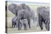 African Bush Elephant Herd, Amboseli National Park, Kenya-Martin Zwick-Stretched Canvas